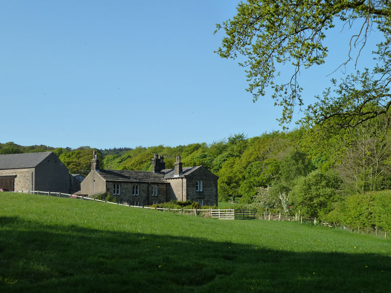 Law Farm